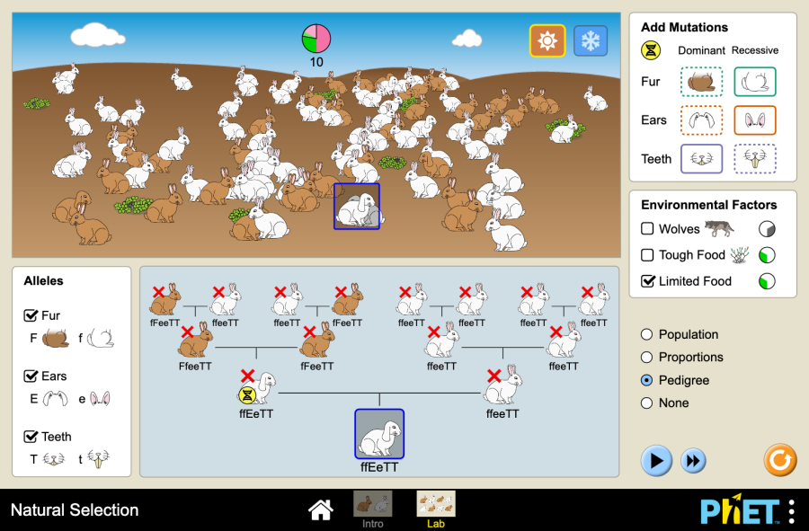 Chọn lọc tự nhiên