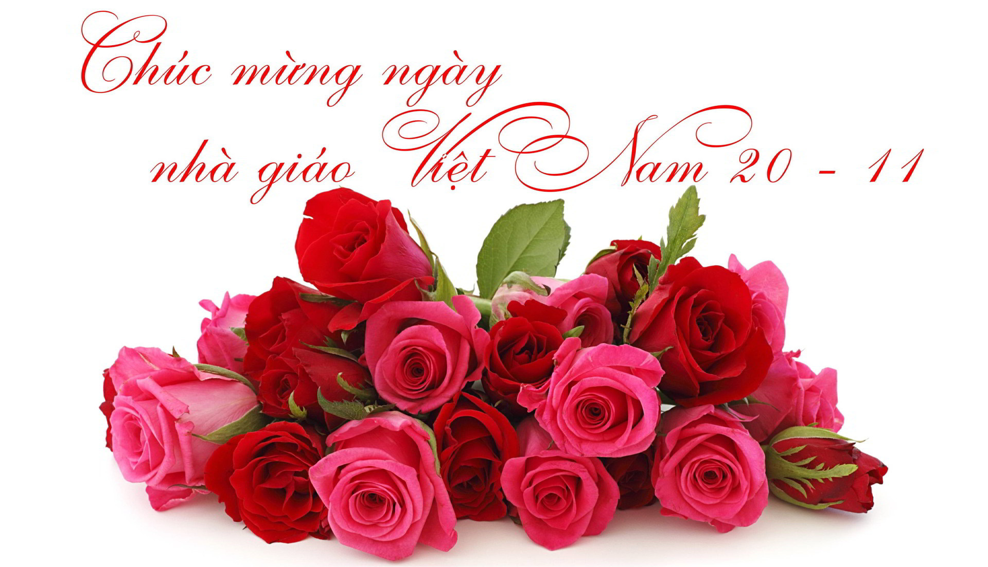 Tri Ân Thầy Cô Nhân Ngày Nhà Giáo Việt Nam 20-11: Top 22 Lời Chúc Tốt Đẹp Và Ý Nghĩa Nhất